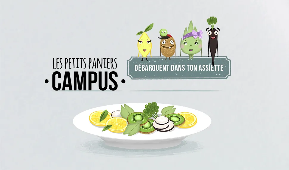 PANIERS BIO – visuel 3