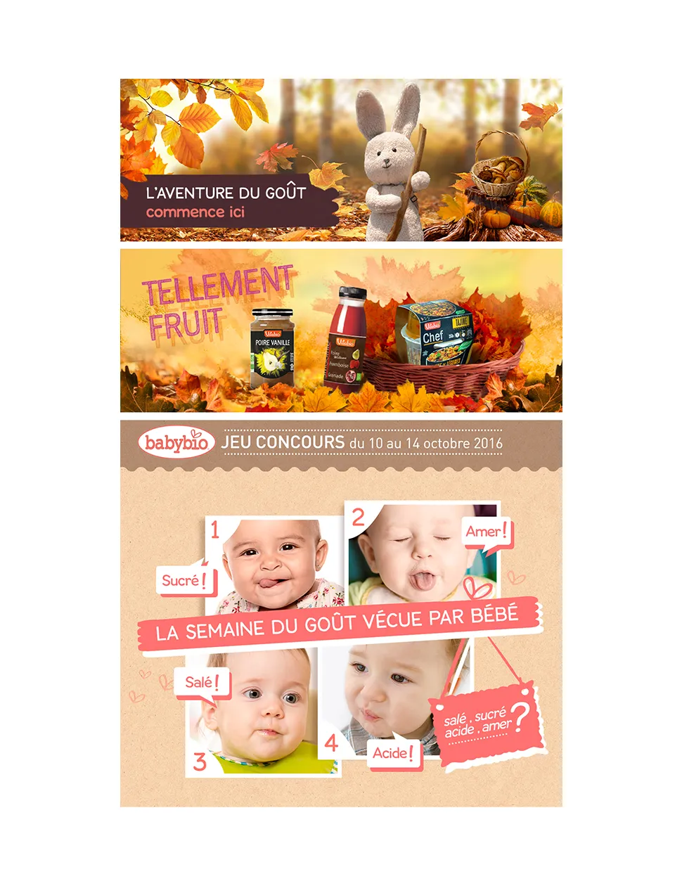 ALIMENTATION BIO – visuel 1